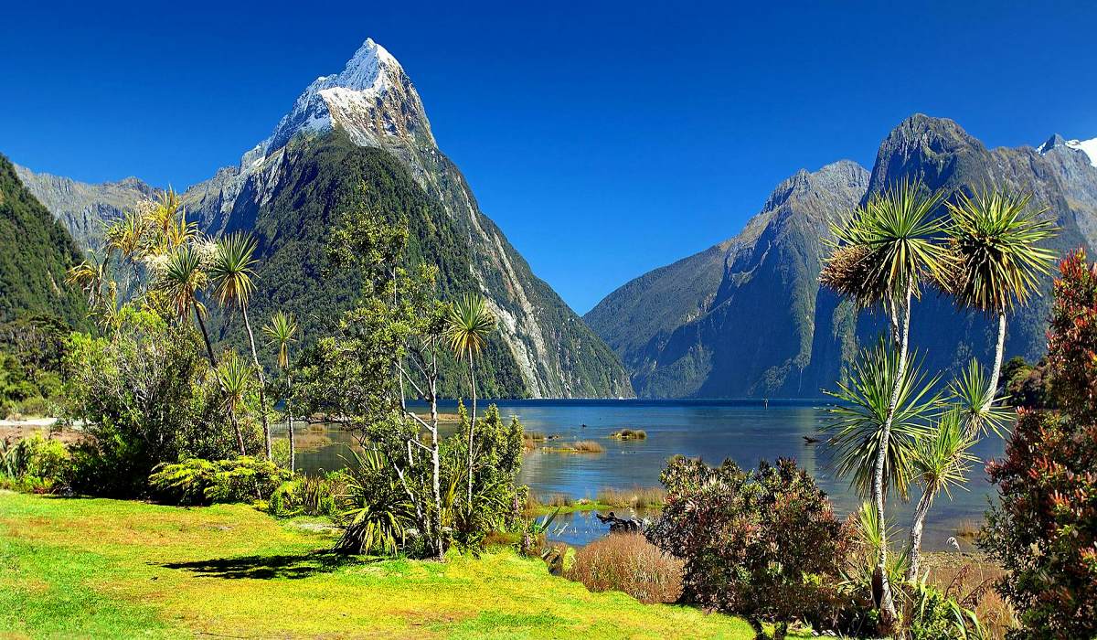 Foto: Neuseeland Rundreise - Südliche Alpen Milford Sound Fiordland Tour