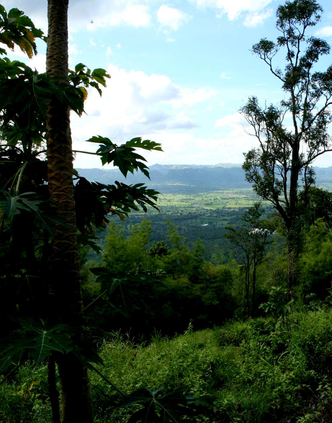 Foto: SDAMERIKA RUNDREISE:- Amazonas Berglandschaft Anden